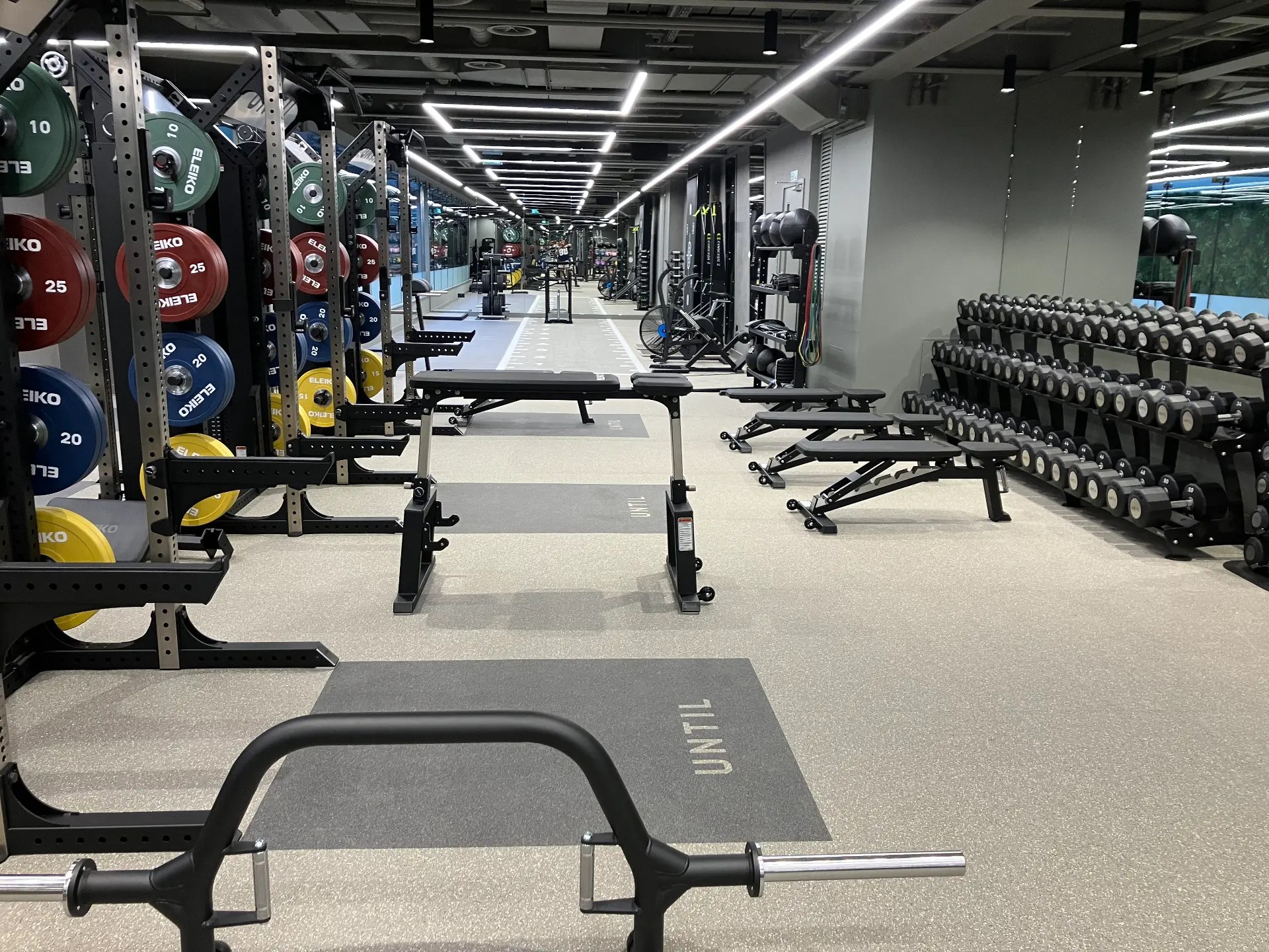 Strength training floor at 1 Orchard Street, Marylebone, with lifting racks, Eleiko plates, benches and dumbbells